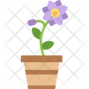 پیش‌نمایش فایل flower-pot-7578750 از پک باغ پشت