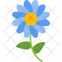 پیش‌نمایش فایل bloom-7579163 از پک تولد
