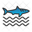 پیش‌نمایش فایل sharkfin-7574980 از پک غواصی