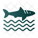 پیش‌نمایش فایل sharkfin-7575670 از پک غواصی