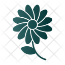 پیش‌نمایش فایل bloom-7579610 از پک تولد