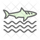 پیش‌نمایش فایل sharkfin-7576200 از پک غواصی