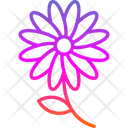 پیش‌نمایش فایل bloom-7579784 از پک تولد