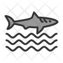 پیش‌نمایش فایل sharkfin-7576451 از پک غواصی