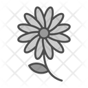 پیش‌نمایش فایل bloom-7579984 از پک تولد