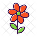پیش‌نمایش فایل bouquet-7580259 از پک باغ پشت