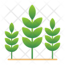پیش‌نمایش فایل agriculture-7580316 از پک باغ پشت