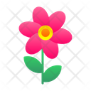 پیش‌نمایش فایل bouquet-7580334 از پک باغ پشت