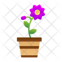 پیش‌نمایش فایل flower-pot-7580351 از پک باغ پشت