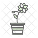 پیش‌نمایش فایل flower-pot-7580842 از پک باغ پشت