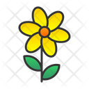 پیش‌نمایش فایل bouquet-7580410 از پک باغ پشت