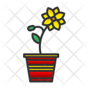 پیش‌نمایش فایل flower-pot-7580427 از پک باغ پشت