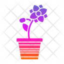 پیش‌نمایش فایل flower-pot-7580942 از پک باغ پشت