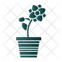 پیش‌نمایش فایل flower-pot-7580705 از پک باغ پشت