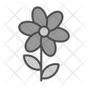 پیش‌نمایش فایل bouquet-7581105 از پک باغ پشت