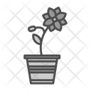 پیش‌نمایش فایل flower-pot-7581122 از پک باغ پشت