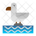 پیش‌نمایش فایل bird-7574844 از پک غواصی