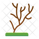 پیش‌نمایش فایل colony-7574850 از پک غواصی