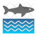 پیش‌نمایش فایل sharkfin-7574881 از پک غواصی
