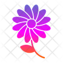 پیش‌نمایش فایل bloom-7579833 از پک تولد