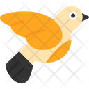 پیش‌نمایش فایل bird-7625918 از پک Fall در عشق