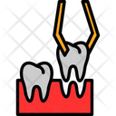 پیش‌نمایش فایل dental-7721999 از پک دندانپزشکی