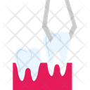 پیش‌نمایش فایل dental-7722102 از پک دندانپزشکی