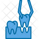 پیش‌نمایش فایل dental-7722443 از پک دندانپزشکی