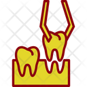 پیش‌نمایش فایل dental-7723019 از پک دندانپزشکی