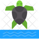 پیش‌نمایش فایل sea-turtle-7747030 از پک ورزش‌های آبی