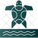 پیش‌نمایش فایل sea-turtle-7747407 از پک ورزش‌های آبی