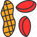 پیش‌نمایش فایل dry-fruits-7752474 از پک سیرک