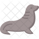 پیش‌نمایش فایل seal-7753363 از پک سیرک