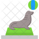 پیش‌نمایش فایل seal-7753366 از پک سیرک