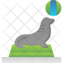 پیش‌نمایش فایل seal-7753496 از پک سیرک
