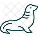 پیش‌نمایش فایل seal-7753740 از پک سیرک