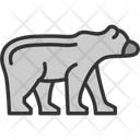 پیش‌نمایش فایل bear-7755379 از پک سیرک