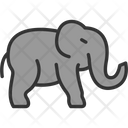 پیش‌نمایش فایل elephant-7755363 از پک سیرک