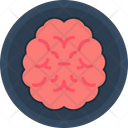 پیش‌نمایش فایل empathy-7775562 از پک بانک