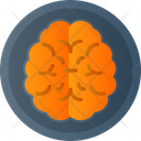 پیش‌نمایش فایل empathy-7775661 از پک بانک