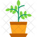 پیش‌نمایش فایل plant-8247610 از پک کشاورزی و باغبانی