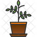 پیش‌نمایش فایل plant-8247739 از پک کشاورزی و باغبانی