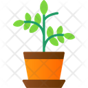 پیش‌نمایش فایل plant-8247663 از پک کشاورزی و باغبانی