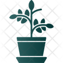 پیش‌نمایش فایل plant-8247960 از پک کشاورزی و باغبانی