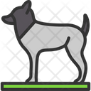 پیش‌نمایش فایل dog-8255675 از پک Vikings