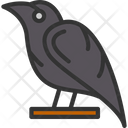 پیش‌نمایش فایل raven-8255709 از پک Vikings