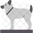 پیش‌نمایش فایل dog-8255891 از پک Vikings