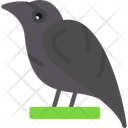 پیش‌نمایش فایل raven-8255925 از پک Vikings