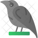 پیش‌نمایش فایل raven-8256021 از پک Vikings