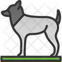 پیش‌نمایش فایل dog-8256036 از پک Vikings